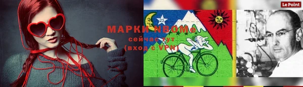 дживик Кинешма