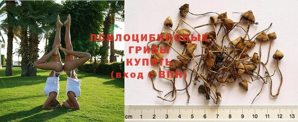 дживик Кинешма