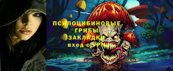 дживик Кинешма