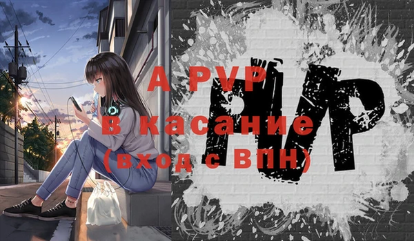 дживик Кинешма