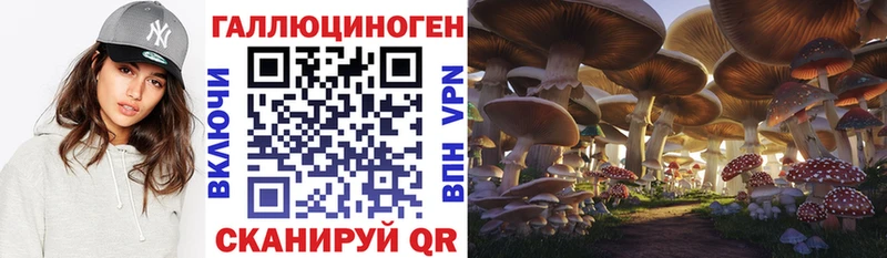 Купить  Высоковск  Псилоцибиновые грибы Cubensis 